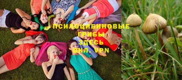 бутират Гусиноозёрск