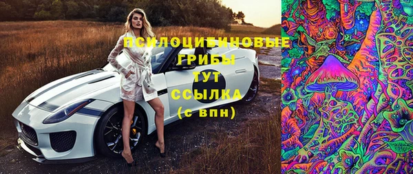 mix Гусев