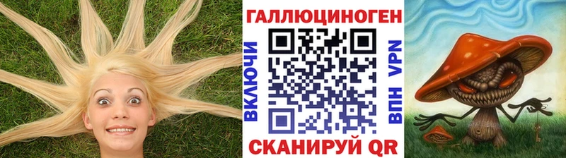 дарнет шоп  Берёзовский  Псилоцибиновые грибы GOLDEN TEACHER 